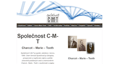 Desktop Screenshot of c-m-t.cz